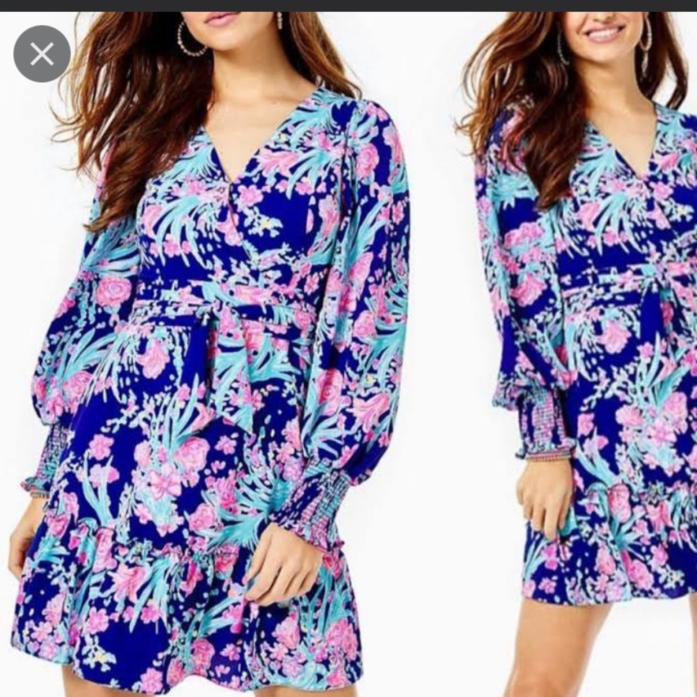 Lilly Rosie Stretch Dress
